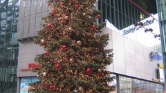 Christmas tree denis apel