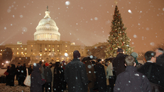 Christmas tree light Christmas