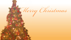 Christmas tree nature