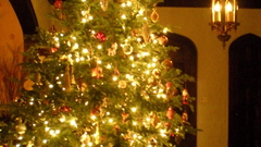 Christmas tree need sharp