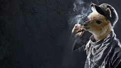 Cigarettes funny smoking digital art llama