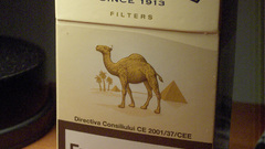 Cigarettes smoke Camels