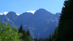 Cimg yeah real awesome