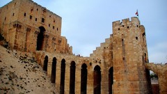 Citadel syria