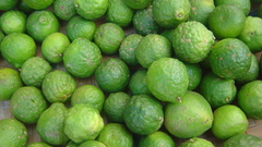 Citrus hystrix lime Food