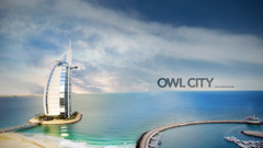 City beach owl image search google results 1440x900