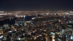 City Lights city night