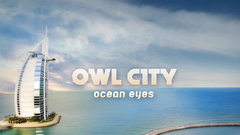 City Owls owl oceaneyes