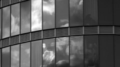 City windows well here