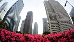 cityscape City building fisheye lens pink flowers skyscraper