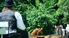 Cityscapes Bucuresti