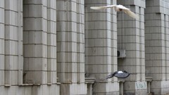 Cityscapes Bucuresti