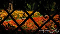 Cityscapes old Garden Europe