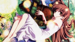 Clannad after story Anime