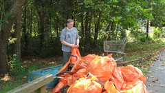 Clean Up results high