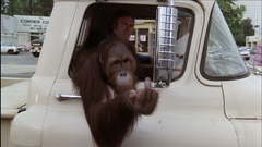 Clint eastwood Any Which