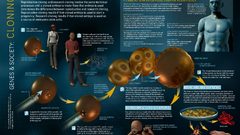 Clone infographics