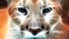 Close-up Animals Fractalius puma