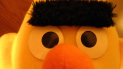 Close-up Bert Sesame Street