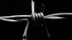 Close-up black minimalistic barbed