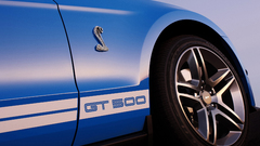 Close-up cars Ford Shelby