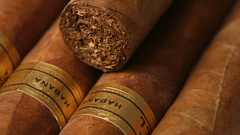Close-up cigars