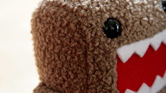 Close-up domo