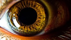 Close-up eyes brown eyes