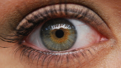 Close-up eyes eyebrows