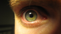 Close-up eyes green eyes
