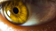 Close-up eyes pupil macro
