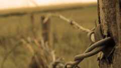 Close-up fences macro barbed
