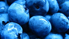 Close-up fruits blueberries