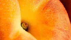 Close-up fruits peaches water