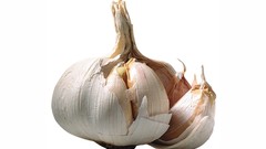 Close-up garlic