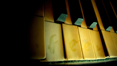 Close-up piano keys