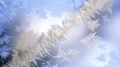 Close-up snowflakes