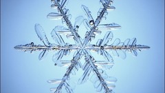 Close-up snowflakes
