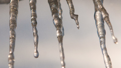 Close-up winter season icicle