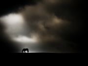 Clouds Animals Horses overcast