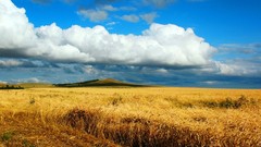 Clouds autumn heaven wheat distance cleaning Kazakhstan endless