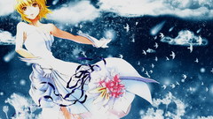 Clouds Birds gundam seed