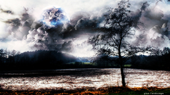 Clouds black Trees dark