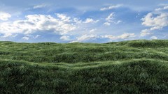 Clouds grass skies