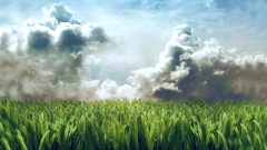 Clouds grass skyscapes