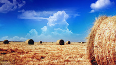 Clouds Landscapes fields skyscapes