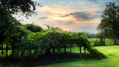 Clouds Landscapes nature