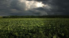 Clouds Landscapes nature