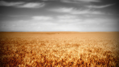 Clouds Landscapes nature fields