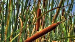 Clouds Landscapes nature multicolor